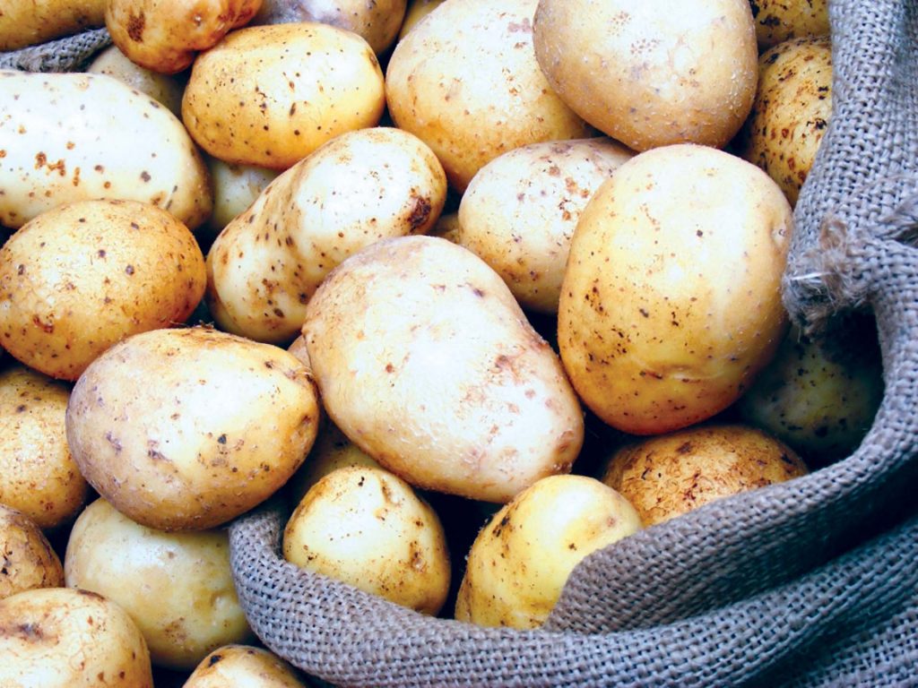 كيفية تخزين البطاطس