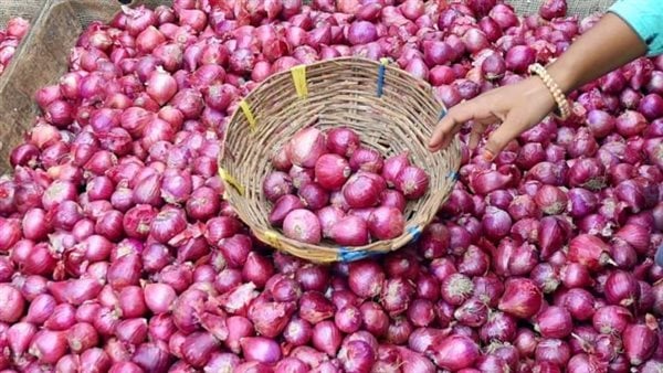 قرار حكومي لنسف سعر البصل بعد وصوله 45 جنيهً وهذا موعد تراجعه رسميًا 4 قرار عاجل بشأن سعر البصل