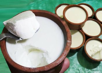 الزبادي