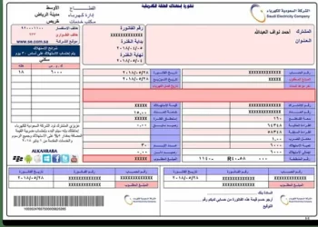 تسديد فاتورة الكهرباء اليكترونياً