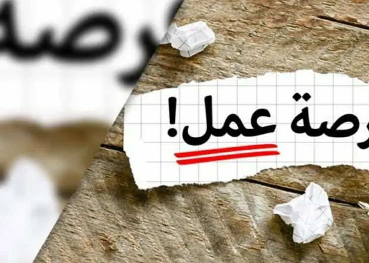 5242 فرص وظائف في 50 شركة خاصة متاحة لشباب 8 محافظات 1 وظائف شاغرة في صندوق تمويل الإسكان الاجتماعي