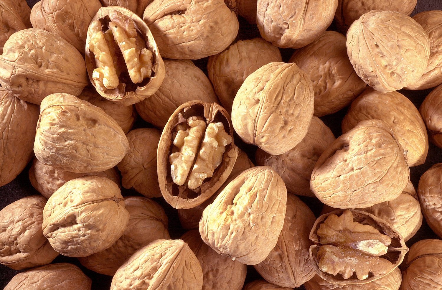 مش مجرد مكسرات تعرف على فوائد عين الجمل 2 فوائد عين الجمل