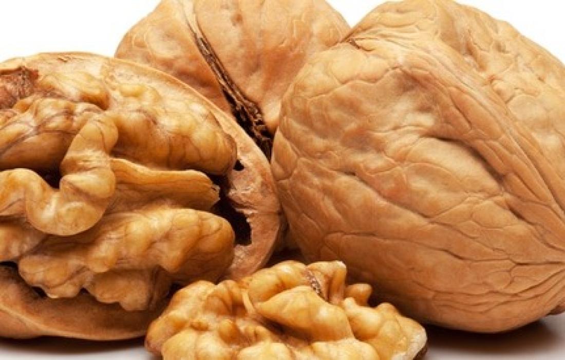 مش مجرد مكسرات تعرف على فوائد عين الجمل 4 فوائد عين الجمل