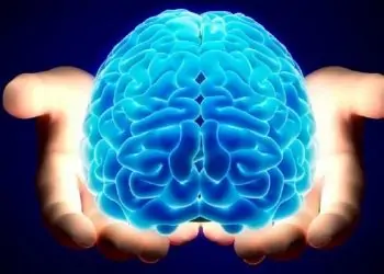 أطعمة لتحفيز والذاكرة