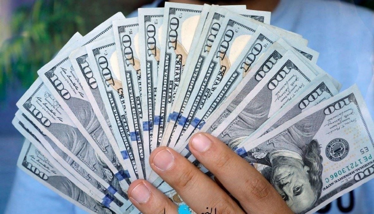 قرار جرئ من البنك المركزى يتخذه بخصوص الجنيه 3 البنك المركزى يثبت سعر الدولار