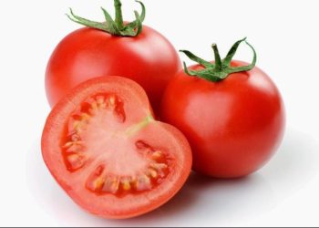 أضرار-أسعار الطماطم