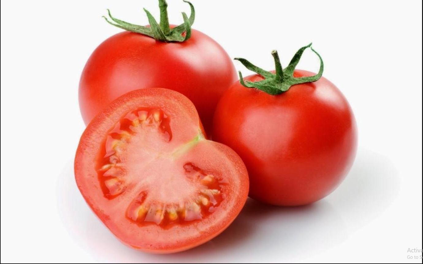 أضرار-أسعار الطماطم 