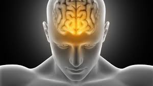 8 طرق لعلاج الصداع في المنزل بطريقة سهلة جدا 2 images