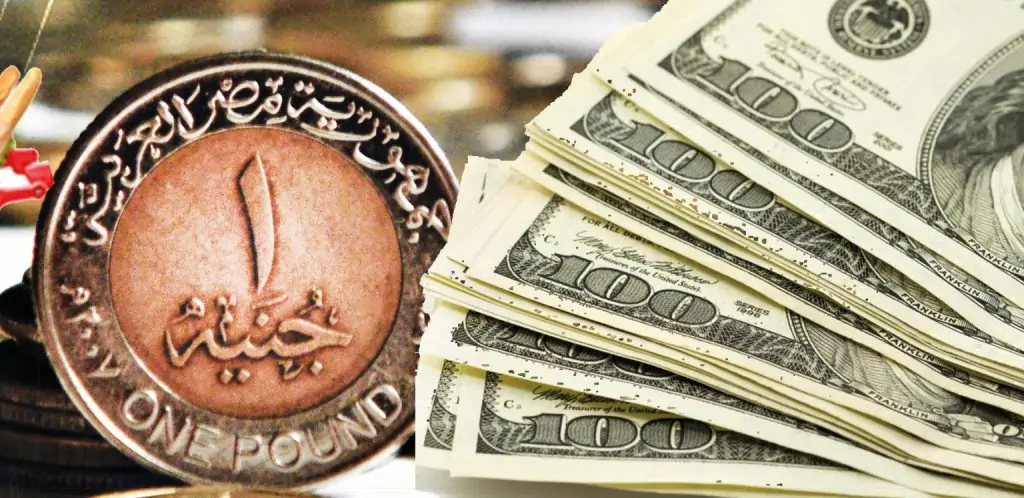 مفاجأة في سعر الدولار اليوم 25-10-2024 عقب سحب 791 مليار جنيه من البنوك 3 أسعار الدولار اليوم