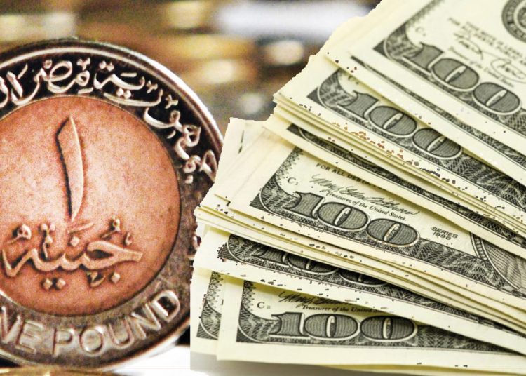 سعر الدولار اليوم 6 |11|2023 بعد تثبيت سعر الفائدة و ضربة للسوق السوداء 1 أسعار الدولار اليوم