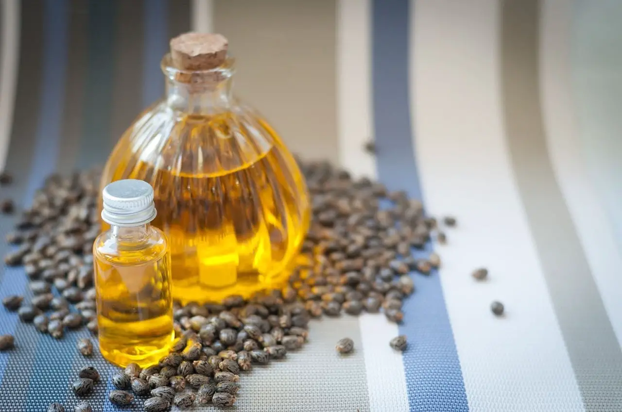أبو الطب.. إليك فوائد زيت الخروع 2023 4 فوائد زيت الخروع 2023