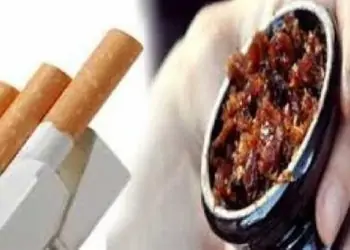 زيادة أسعار السجائر والمعسل بعد زيادة السولار شعبة الدخان تكشف الحقيقة