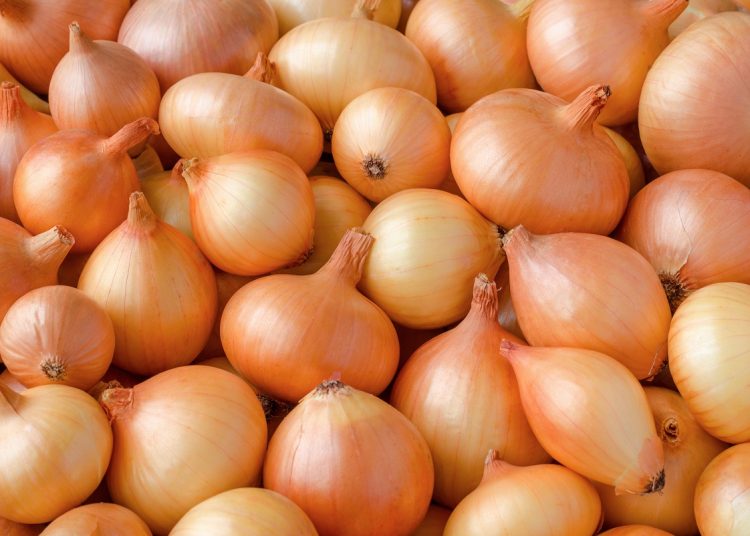 البصل أعرف 5 مشاكل صحيه يمكن علاجها 1 338000778 1264280344223143 2770663109906111766 n 11