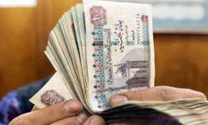 خبر سار من التضامن الاجتماعي لهذه الفئة من المواطنين بتمويل حكومي 4 التضامن الاجتماعي
