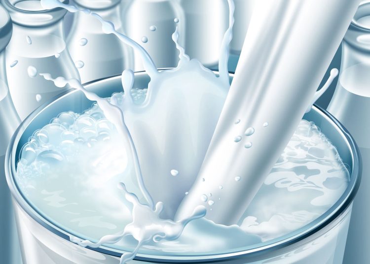 أرتفاع أسعار الألبان ورئيس المنتجين يكشف مفاجأة 1 labn large