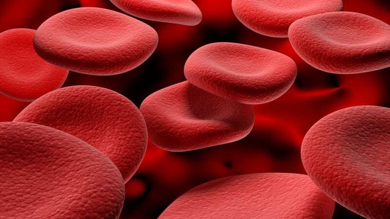 أعراض نقص الحديد وطرق علاجها 2023 3 أعراض نقص الحديد 2