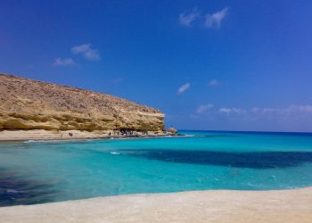 وزارة النفل تكشف عن تشغيل قطارات مطروح