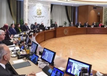 سعر توريد القطن 2023