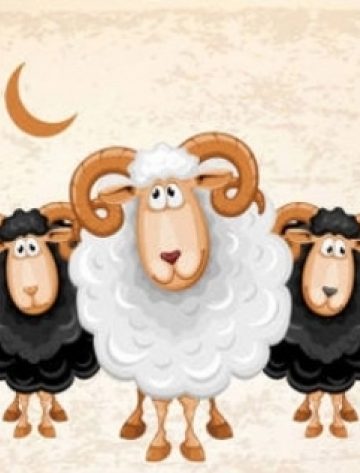 رسميا رئيس الحكومة يعلن موعد ومدة إجازة عيد الأضحى 2024 4 موعد إجازة عيد الأضحى