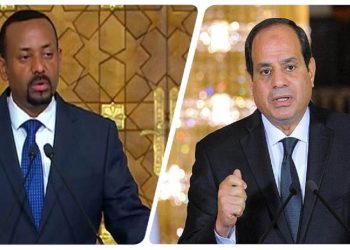 رد فعل الرئيس السيسي مع آبي أحمد في باريس صور
