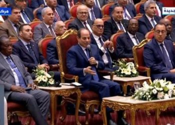 نبأ سار يعلنه الرئيس السيسي للمصريين خلال أيام