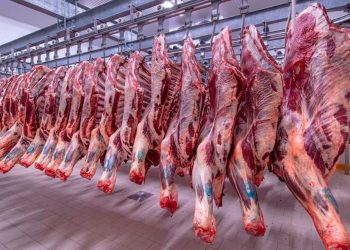 سعر اللحمة في محلات الجزارة