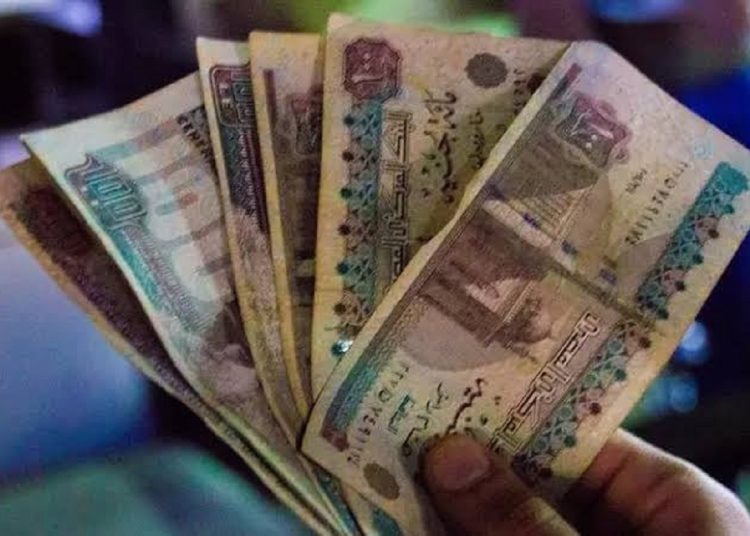 أعلى عائد في مصر 39 فى المائه اعرف شهادة اختيارك الجديدة 1 p55Ec 10