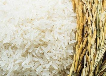 تراجع غير مسبوق بسعر الأرز لأول مرة منذ شهور رجع لـ20 جنيه