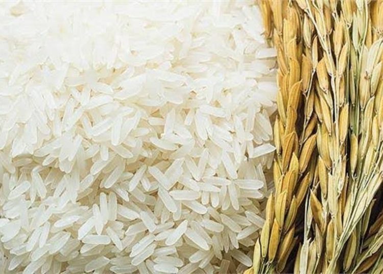 تراجع غير مسبوق بسعر الأرز لأول مرة منذ شهور رجع لـ20 جنيه 1 p55Ec 32