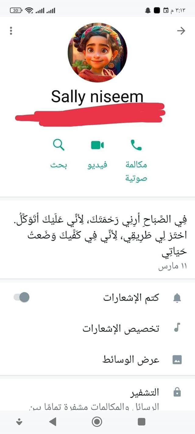 بعد اختفاء الطبيبة سالي نسيم كاهن الكنيسة يكشف الحقيقة 6 اختفاء الطبيبة سالي نسيم