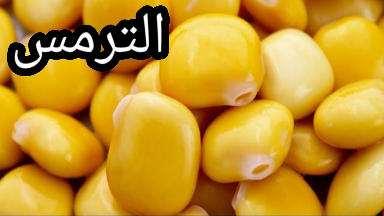 تناول 15 حبة من الترمس يوميا ولن تصدق مايحدث لجسمك 2 فوائد الترمس