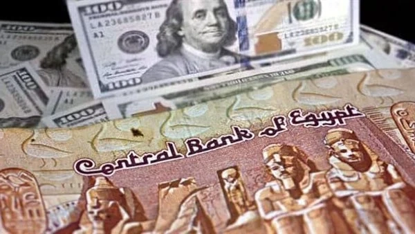 هل سيتم تعويم جديد للجنية المصري بنك عالمي يوضح ويكشف التوقعات القادمة 1 تعويم جديد للجنية