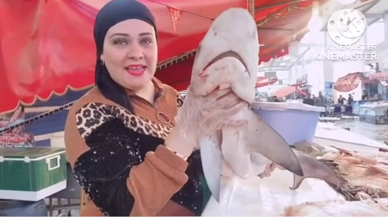 شيف مصرية تثير الجدل على السوشيال ميديا بسبب سمك القرش 4 شيف مصرية تثير الجدل