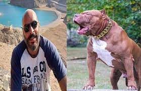 النيابة تكشف مفاجأة قضية كلب الشيخ زايد