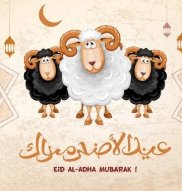 موعد إجازة عيد الأضحى أطول عطلة رسمية تصل لـ9 أيام متتالية لموظفي القطاع العام والخاص 2 موعد إجازة عيد الأضحى