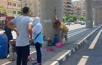 لحوم أعمدة المونوريل