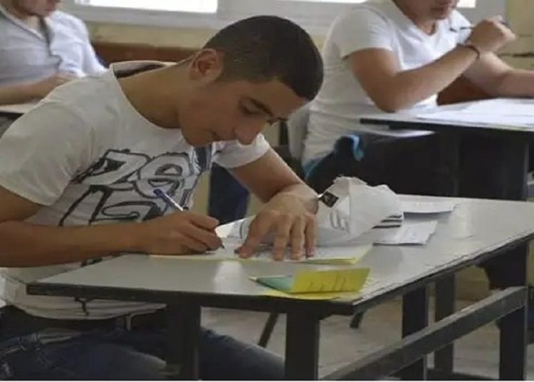 اعرف درجاتك من هنا نتيجة الدبلومات الفنية 2023 1 345559201 789167012567126 4796751105152949976 n 103