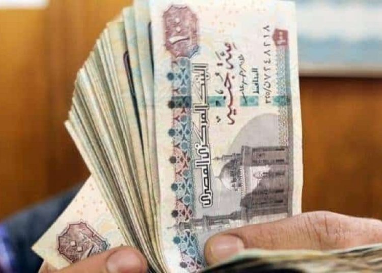 مفاجاة تنتظر هؤلاء الموظفين خلال أيام 1 345559201 789167012567126 4796751105152949976 n 185