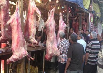 سعر اللحوم اليوم 9-7-2023 داخل الأسواق