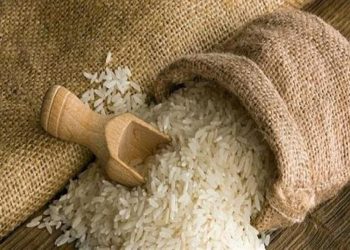 شعبة الأرز تعلن مفاجأة عن الأسعار داخل الاسواق
