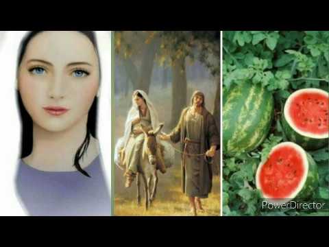 معجزة البطيخ بمسار العائلة المقدسة 