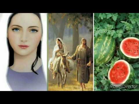 معجزة البطيخ بمسار العائلة المقدسة اضلت رجال هيرودس فى البحث عن المسيح 2 معجزة البطيخ بمسار العائلة المقدسة
