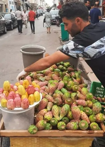 زيادة سعر التين الشوكي في السوق شوف الطبق بكام 4 سعر التين الشوكي