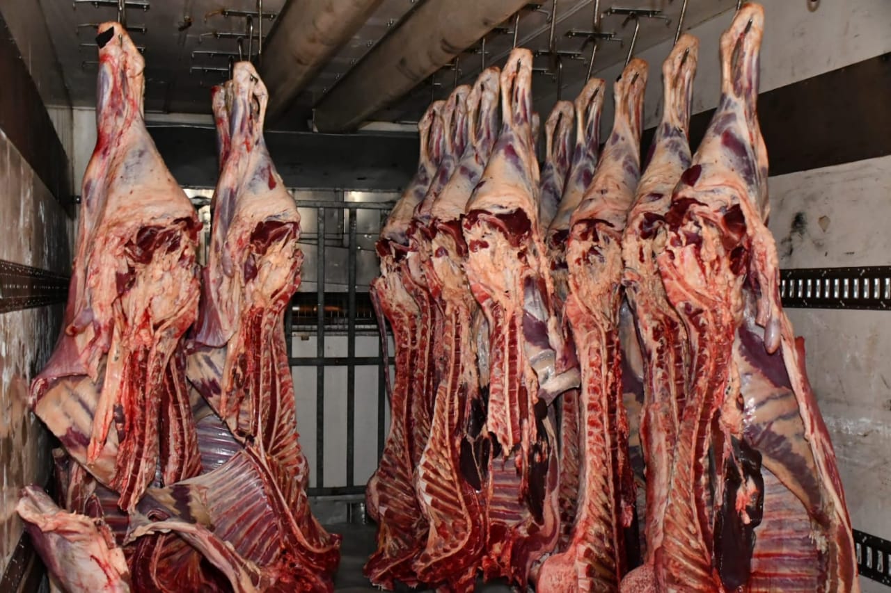 أرتفاع أسعار اللحوم