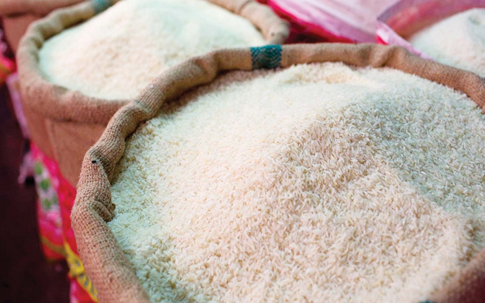 حظر تصدير الأرز