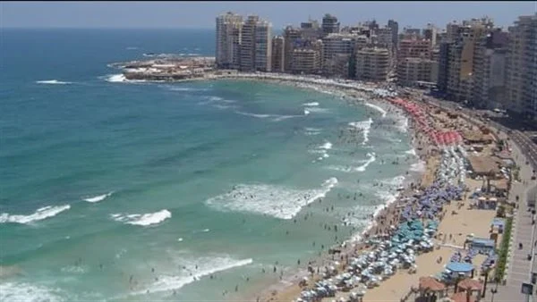 الداخلية تكشف تفاصيل واقعة الإسكندرية السر فكهاني وقران 3 الإسكندرية