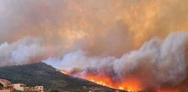 كارثة حرائق الغابات في الجزائر