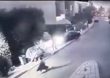 مجزرة مدينتي