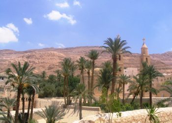 بالصور دير القديس الأنبا أنطونيوس يحتفل برسامة ثلاثة رهبان وأربعة قمامصة