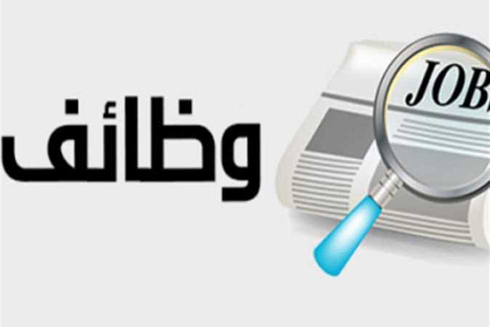 وظائف مطلوبة فورا لو عايز تشتغل في الحكومة اعرف التفاصيل 6 وظائف مطلوبة فورا